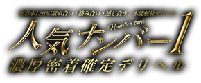 トップページ